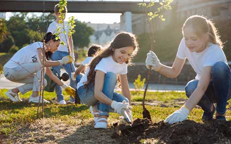 volunteers planting trees